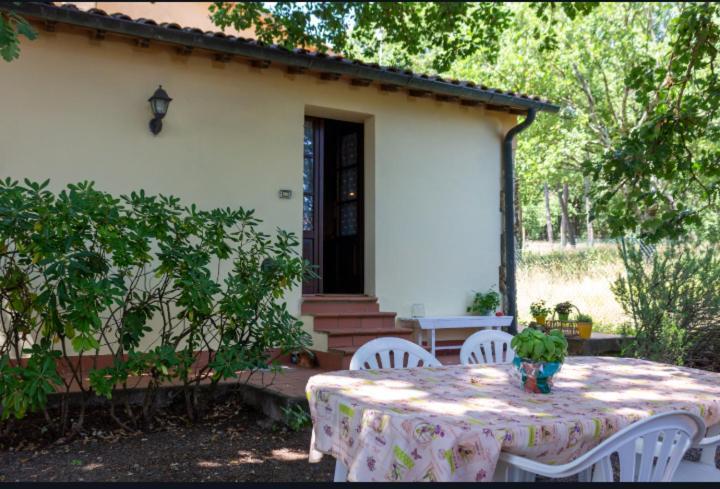 La Pecora Verde سان جيمينيانو المظهر الخارجي الصورة