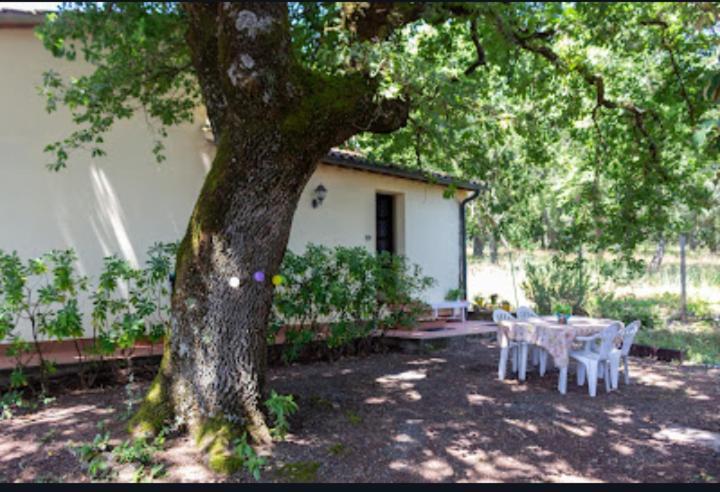 La Pecora Verde سان جيمينيانو المظهر الخارجي الصورة